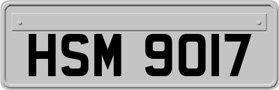 HSM9017