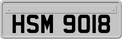 HSM9018