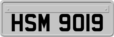 HSM9019