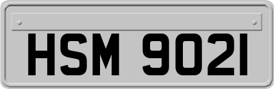 HSM9021