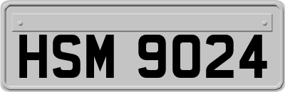 HSM9024