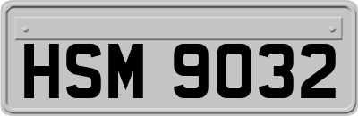 HSM9032