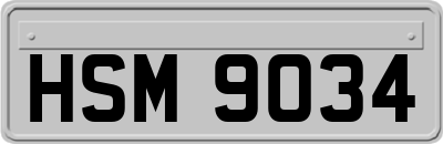 HSM9034