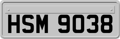 HSM9038