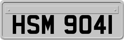 HSM9041