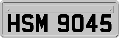 HSM9045