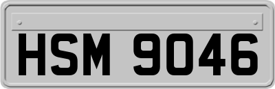 HSM9046