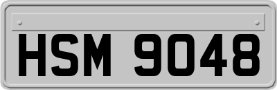HSM9048