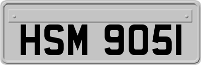 HSM9051