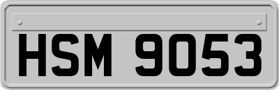 HSM9053
