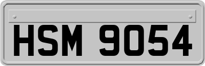 HSM9054