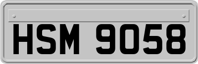 HSM9058