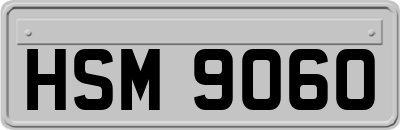 HSM9060
