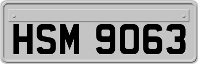HSM9063
