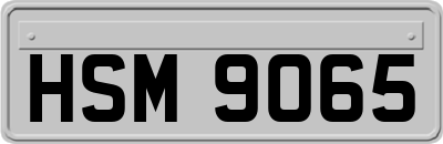 HSM9065