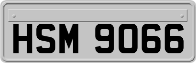 HSM9066