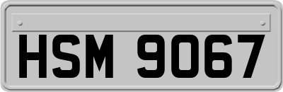 HSM9067