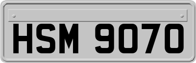 HSM9070