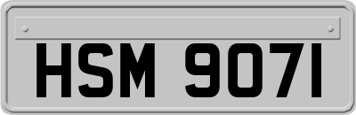 HSM9071