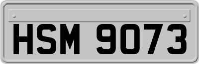 HSM9073