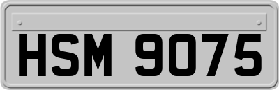 HSM9075