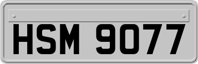 HSM9077