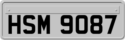 HSM9087