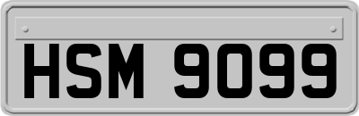 HSM9099
