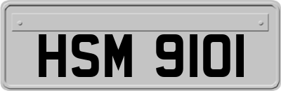 HSM9101