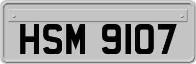 HSM9107