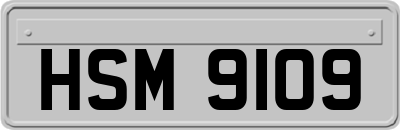 HSM9109