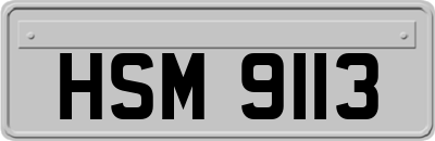 HSM9113