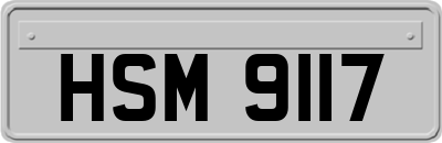 HSM9117