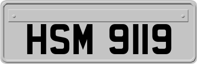 HSM9119
