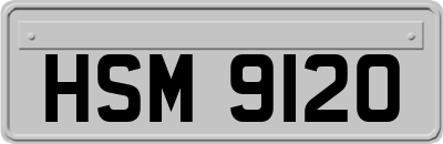 HSM9120