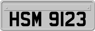 HSM9123