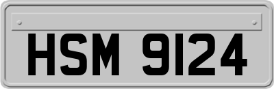 HSM9124