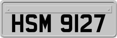HSM9127