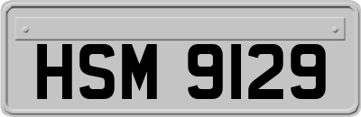 HSM9129