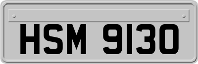 HSM9130