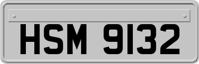 HSM9132