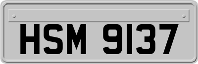 HSM9137