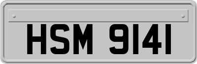 HSM9141