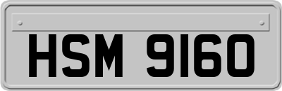 HSM9160