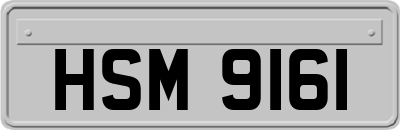 HSM9161