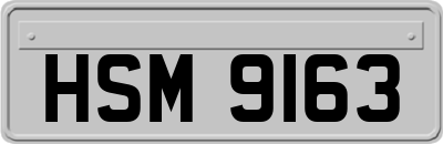 HSM9163