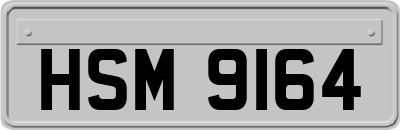 HSM9164