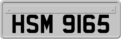 HSM9165