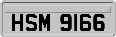 HSM9166
