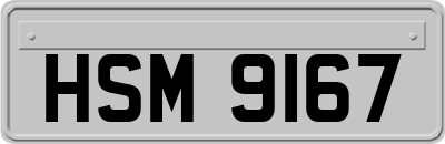HSM9167